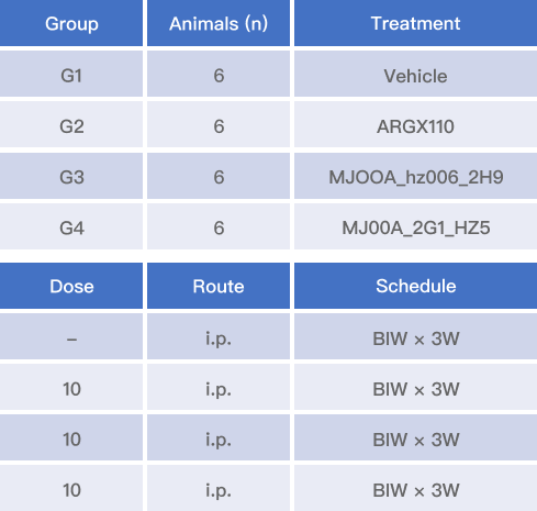 Initial in vivo safety assessment table